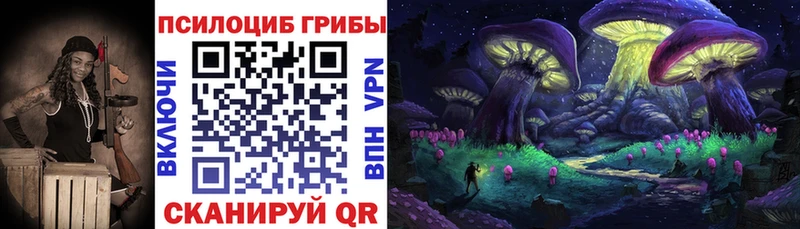 сколько стоит  Валдай  Псилоцибиновые грибы Magic Shrooms 